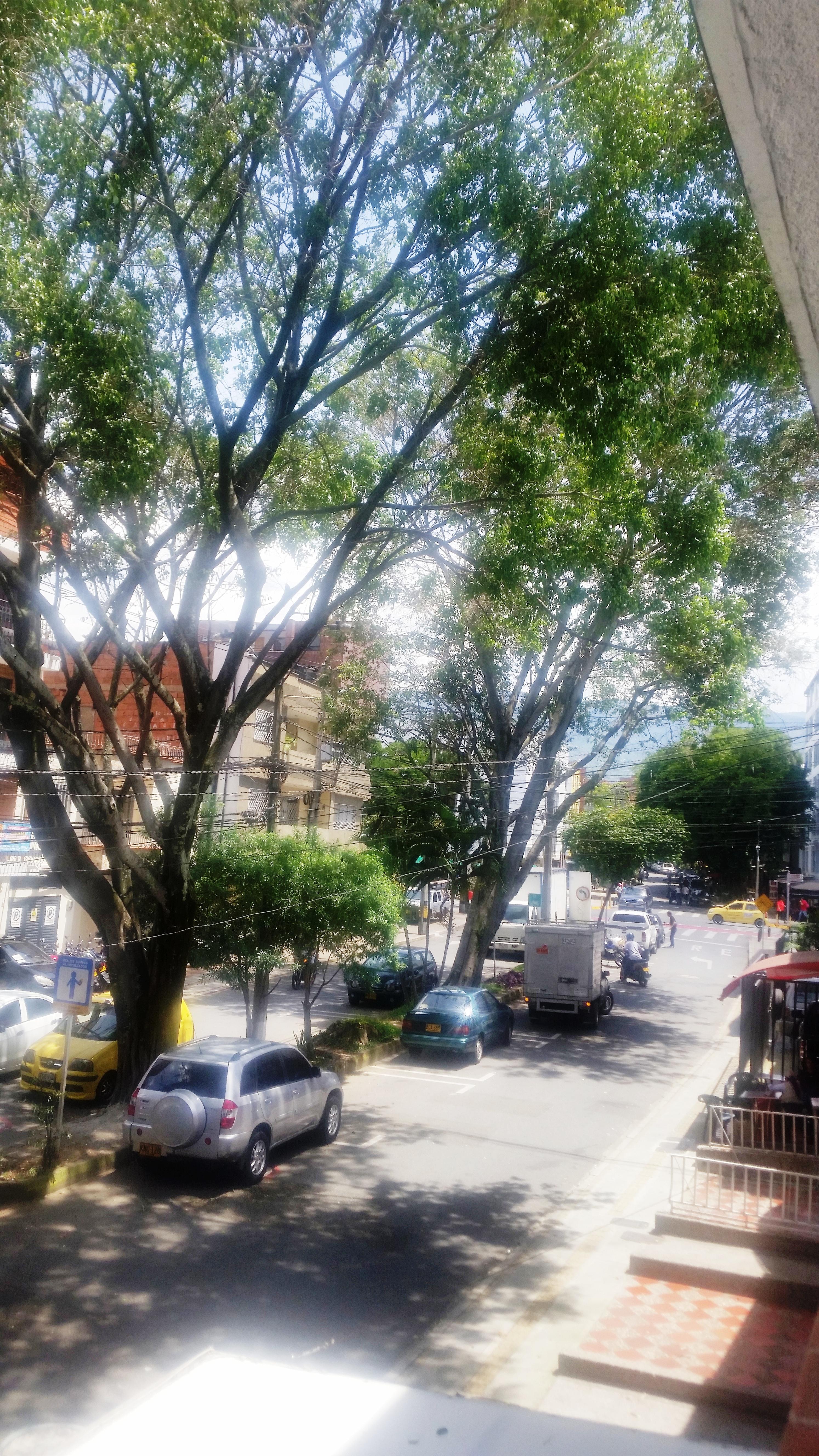 Hotel Quinta Avenida Medellín Eksteriør bilde